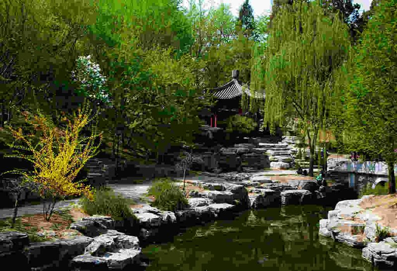 上海建筑设计公司的未来之路:机遇与挑战并存